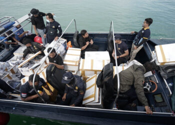 Bea Cukai Kepri Gagalkan Penyelundupan Benih Lobster ke Singapura Senilai Rp14 Milyar