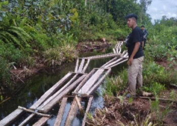 Ratusan Kubik Kayu Ilegal Hasil Hutan Perbatasan Jambi-Palembang Berhasil Diamankan