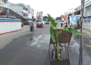 Protes Pemerintah, Warga Tanam Pohon Pisang di Jalan Berlubang