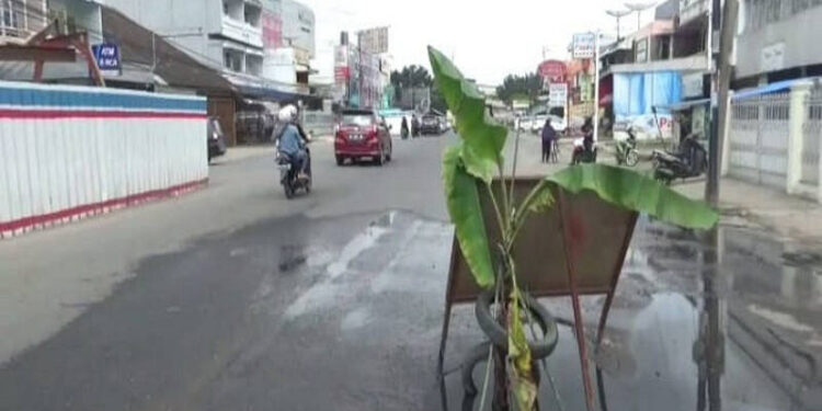 Protes Pemerintah, Warga Tanam Pohon Pisang di Jalan Berlubang