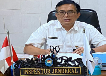 Kemendagri Sinergi Bersama BPKP Lakukan Pengawasan Penggunaan Produk Dalam Negeri di Daerah