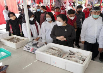 Pemerintah Harus Lindungi Nelayan Kecil dan Tradisional dari Kapal-Kapal Besar