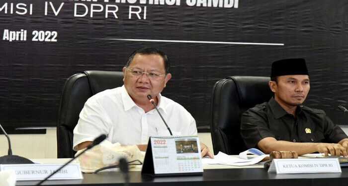 DPR Apresiasi Pembentukan Pansus Konflik Kawasan Hutan dan Perkebunan oleh DPRD Jambi