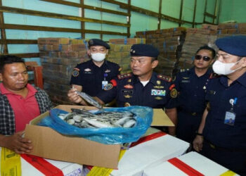 KKP Segel 4,74 Ton Ikan Impor Ilegal dari China dan Malaysia di Batam