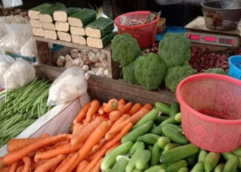 Kenaikan Harga Pangan Jadi Pemicu Utama nflasi Mei 2022 Capai 0,40 Persen,