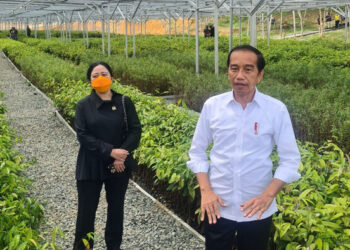 Meski Berganti Kepemimpinan pada 2024, Jokowi Pastikan Pembangunan IKN Tetap Berlanjut