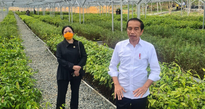 Meski Berganti Kepemimpinan pada 2024, Jokowi Pastikan Pembangunan IKN Tetap Berlanjut