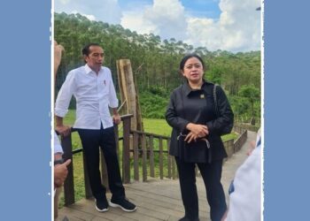 Presiden yang Akan Datang Harus Teruskan Pembangunan IKN Nusantara!