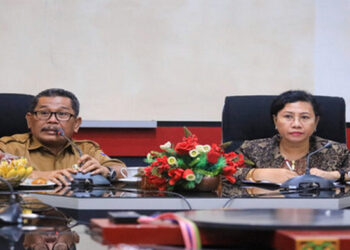 DPD RI Dukung Kreativitas Kebijakan Investasi Daerah