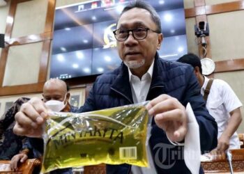 Rapat Perdana Bersama DPR, Mendag: Besok, Kemendag Luncurkan Solusi untuk Minyak Goreng