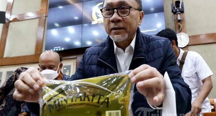 Rapat Perdana Bersama DPR, Mendag: Besok, Kemendag Luncurkan Solusi untuk Minyak Goreng