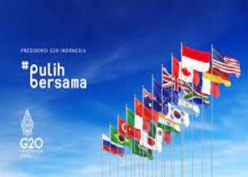 Peluang Presidensi G20 Indonesia