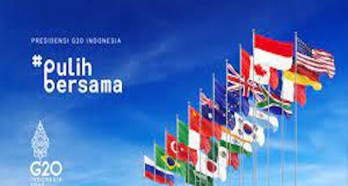 Peluang Presidensi G20 Indonesia