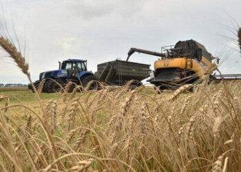 AS Mulai Ketakutan Krisis Pangan Global, Gandum dan Pupuk Rusia Dikeluarkan dari Daftar Sanksi