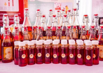 Pemerintah akan Bangun Pabrik Minyak Makan Merah, Kelebihannya Lebih Sehat dari Minyak Goreng