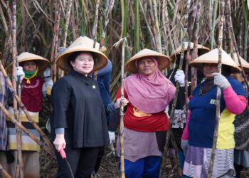 Puan: Perbaiki Tata Kelola Komoditas Pangan untuk Atasi Harga yang Terus Naik