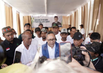 Stabilisasi Harga Migor, Mendag Zulhas Ajak Dialog Petani Sawit