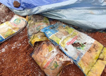 Kemensos Temukan Bau Busuk di Lokasi Kuburan Bansos Presiden di Depok