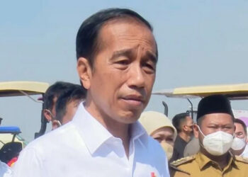 Presiden Luncurkan Lumbung Pangan atau Food Estate Berbasis Mangga di Kecamatan Penceng, Gresik