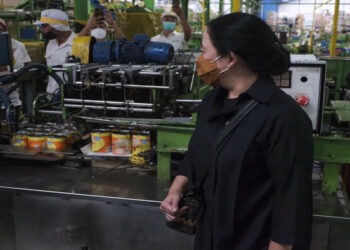 Tinjau Industri Nanas di Lampung, Puan Ingatkan Perusahaan-Petani Harus Sinergis