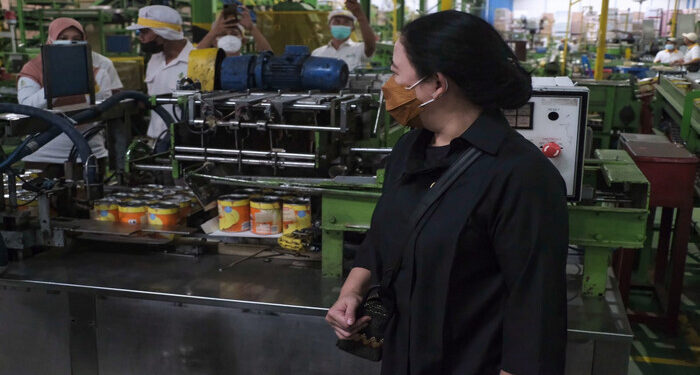 Tinjau Industri Nanas di Lampung, Puan Ingatkan Perusahaan-Petani Harus Sinergis