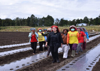 Mayoritas Pendukung Puan Maharani Warga Pedesaan