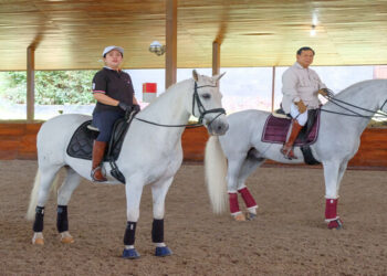 Bertemu di Hambalang, Puan Diajak Naik Kuda Kesayangan Prabowo