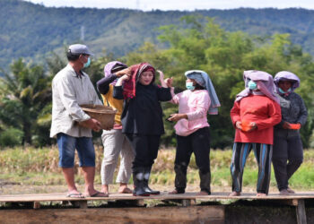 Disambut Meriah Warga, Puan Canangkan Program Dua Kali Tanam-Panen di Toba