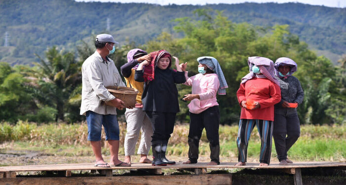 Disambut Meriah Warga, Puan Canangkan Program Dua Kali Tanam-Panen di Toba