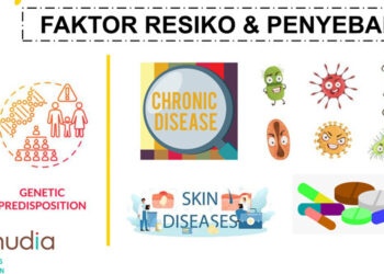 Faktor Resiko & Penyebab Skin Diseases