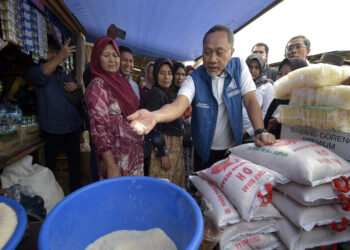 Tinjau Pasar Panyabungan, Mendag Zulkifli Hasan: Walau Jauh Dari Kota, Harga Bapok Terpantau Stabil