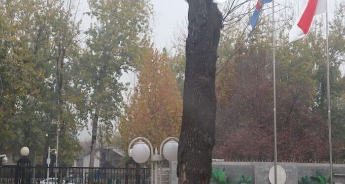 KBRI Beijing Tutup Sementara Karena Staf Terkena COVID-19