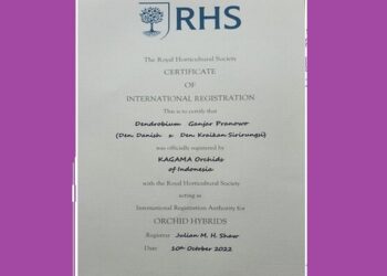 Nama Gubernur Jateng Ganjar Pranowo Didaftarkan sebagai Nama Salah Satu Jenis Anggrek di Inggris