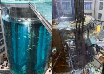 Akuarium Raksasa di Berlin Meledak, 1.500 Ikan Eksotis Langka Mati
