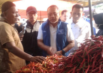 Mendag Pastikan Stok Sembako di Batam Aman Selama Nataru