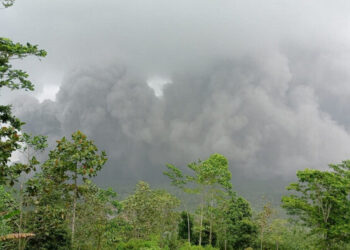 Semeru Kembali Erupsi Luncurkan Awan Panas, BNPB Catat Sebanyak 1.979 Jiwa Mengungsi