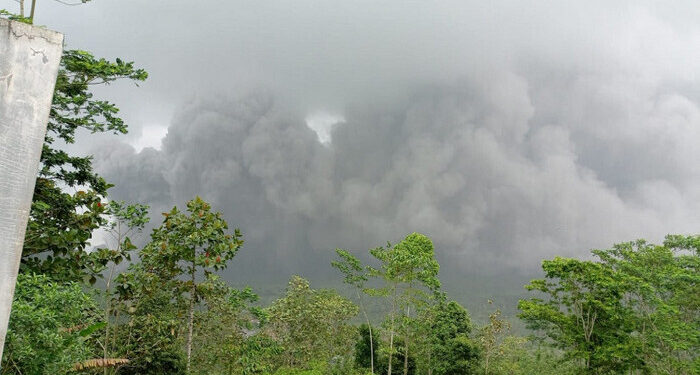 Semeru Kembali Erupsi Luncurkan Awan Panas, BNPB Catat Sebanyak 1.979 Jiwa Mengungsi