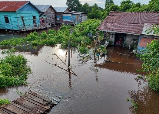 Tepi Sungai Kahayan Palangka Raya, Perlu Kolaborasi