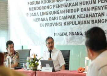 Pemerintah Fokus Tangani Masalah Tambang Timah Ilegal di Babel