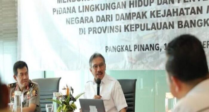 Pemerintah Fokus Tangani Masalah Tambang Timah Ilegal di Babel