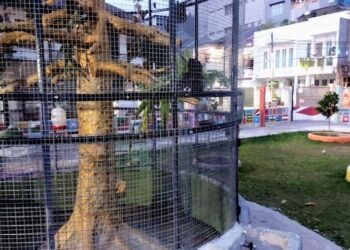 Potret Pemanfaatan Lahan Tidur untuk RTH di Jakarta