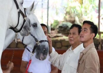 Gerindra: Prabowo Siap Dukung Gibran Ikut Kontestasi Pilkada