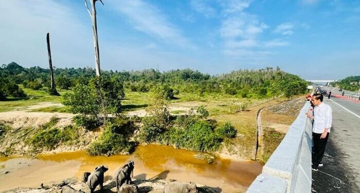 Presiden Tekankan Pembangunan Infrastruktur Perhatikan Satwa Liar