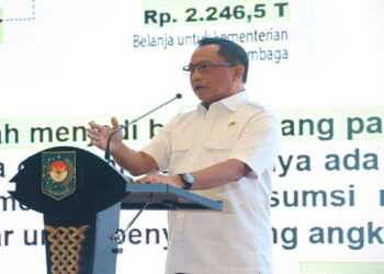 Mendagri Imbau APIP Dampingi Belanja Pemda agar Lebih Efektif dan Efisien