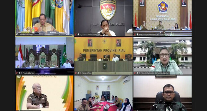 Kemendagri Gelar Rakor Pengendalian Inflasi Awal Tahun dengan Daerah