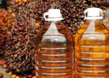 Pemerintah Gunakan Pemakaian Biodiesel B35 Mulai 1 Februari 2023