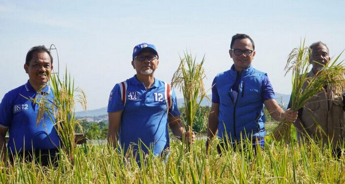 Mendag Didampingi Wali Kota Bogor Panen Raya Padi di Mulyaharja