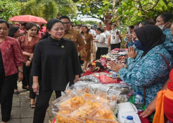 Dukung Percepatan SDGs, DPR RI Perjuangkan Kesejahteraan Perempuan