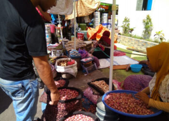 BPS: Konsumsi Rumah Tangga Dominasi Ekonomi 2022