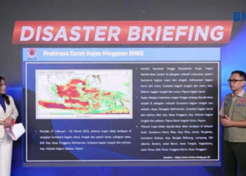 BNPB: Dasarian I Maret Curah Hujan Kategori Rendah, Waspada Karhutla